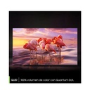 TV Samsung SERIE A 65" 2023 4K QN65LS03A A